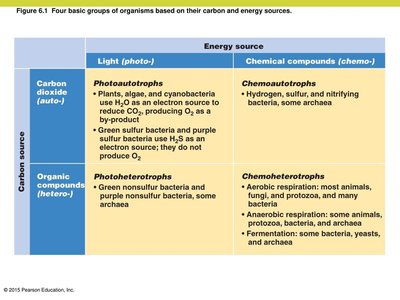 Table of carbon and energy sources