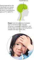 Fever mechanism and hypothalamic regulation
