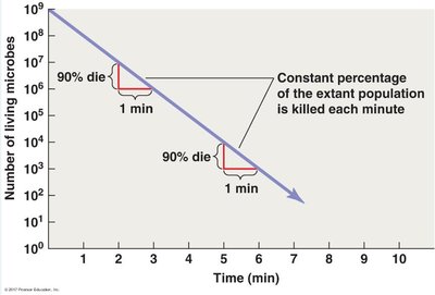 Graph showing constant microbial death rate