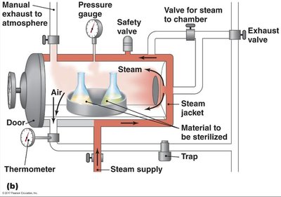 Table of moist heat treatments of milk