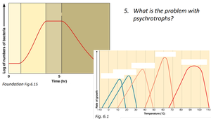Growth curves of psychrotrophs at different temperatures