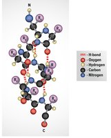 Protein structure with nitrogen atoms