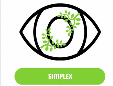 Diagram of simplex eye infection pattern