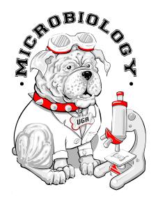 Butanediol fermentation balance