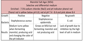 MSA agar table