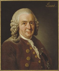 Portrait of Carolus Linnaeus, founder of binomial nomenclature