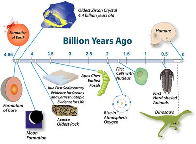 Evolutionary timeline of life on Earth