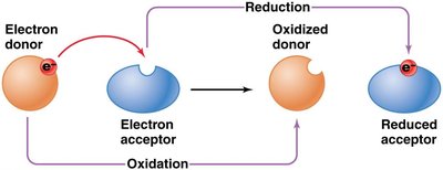 Redox reaction: electron donor and acceptor
