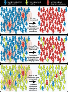 Herd immunity diagram