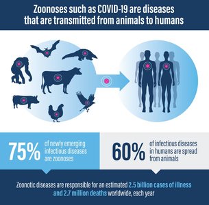 Zoonoses infographic
