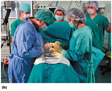 Preventing direct contact transmission in hospitals