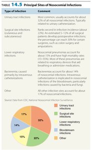 Principal sites of nosocomial infections pie chart