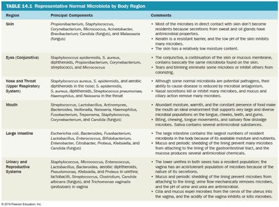 Table of representative normal microbiota by body region