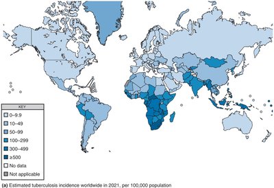 Distribution of Tuberculosis