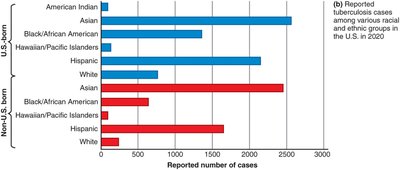 Distribution of Tuberculosis