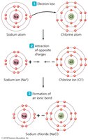 The interaction of sodium and chlorine to form an ionic bond
