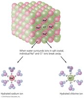 Dissociation of NaCl in water