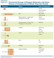 Functional groups of organic molecules