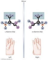 Stereoisomers of alanine