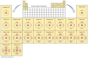 Bohr diagrams of the first 20 elements