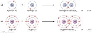 Four molecules formed by covalent bonds