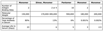 Immunoglobulin classes comparison