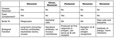Immunoglobulin classes comparison (continued)