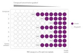 MIC test in well plates