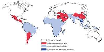 Sickle cell trait and normal hemoglobin comparison