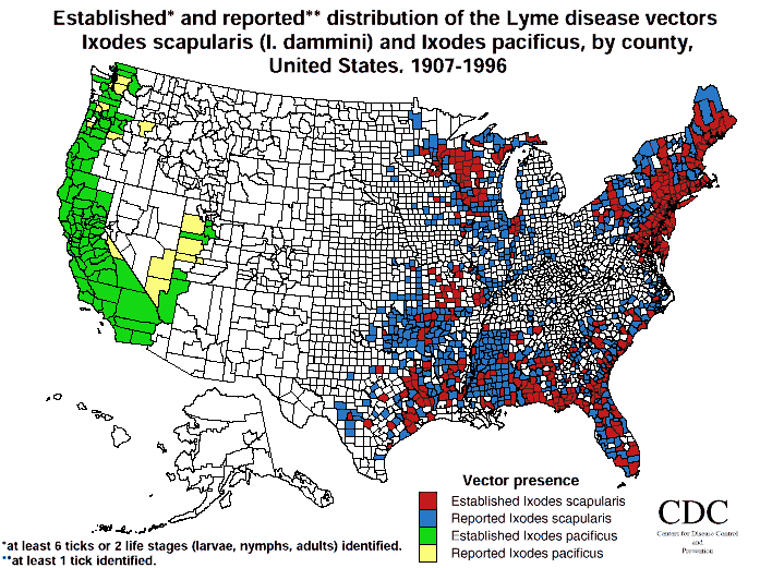 Distribution of Ixodes scapularis and Ixodes pacificus in the United States
