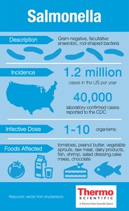 Salmonella infographic: description, incidence, infective dose, foods affected