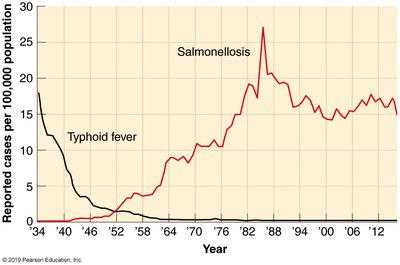 Epidemiological trends in Salmonellosis and Typhoid fever