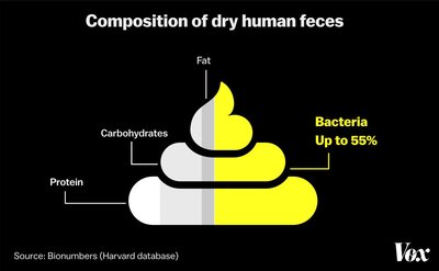 Composition of dry human feces, showing bacterial content