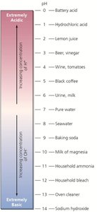 pH scale