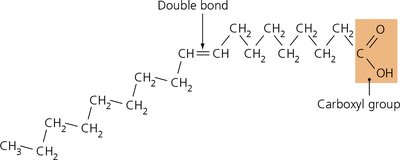 Structure of linoleic acid