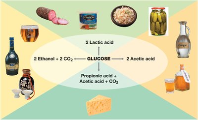 Fermented foods