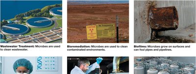 Industrial microbiology