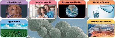 Microbial applications in animal health, human health, ecosystem health, water & waste, agriculture, and natural resources