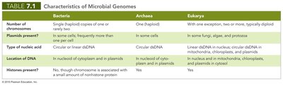 Table of characteristics of microbial genomes