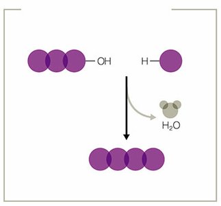 Dehydration synthesis forming a peptide bond
