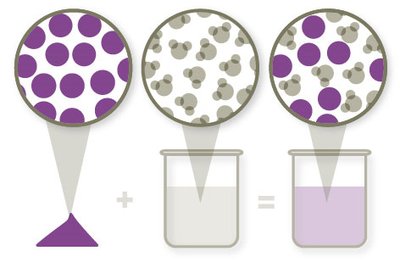 Solute and solvent forming a solution