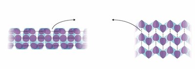 Secondary structure: alpha-helix and beta-sheet