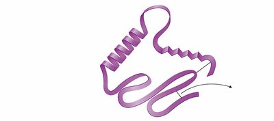 Tertiary structure: 3D folding