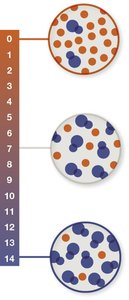 pH scale with acidic, neutral, and basic solutions