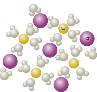 NaCl dissolved in water, showing ions and water molecules