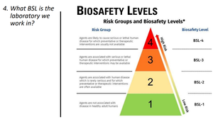 Biosafety levels pyramid