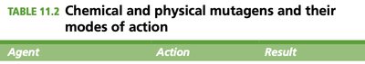 Ionizing and non-ionizing radiation effects on DNA