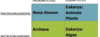 Table comparing prokaryotes and eukaryotes