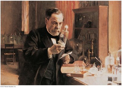 Pasteur's swan-neck flask experiment