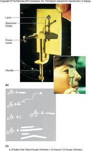 Leeuwenhoek's simple microscope and his drawings of microbes